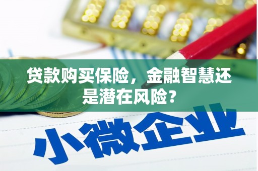 晋州贷款购买保险，金融智慧还是潜在风险？