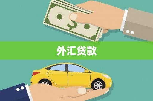 晋州外汇贷款