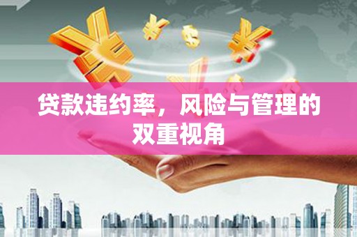 晋州贷款违约率，风险与管理的双重视角