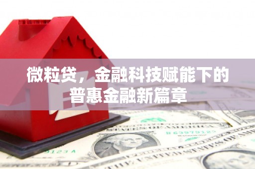 晋州微粒贷，金融科技赋能下的普惠金融新篇章