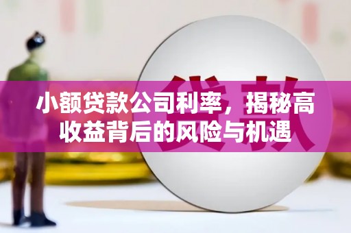 晋州小额贷款公司利率，揭秘高收益背后的风险与机遇