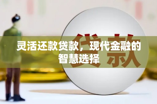 晋州灵活还款贷款，现代金融的智慧选择