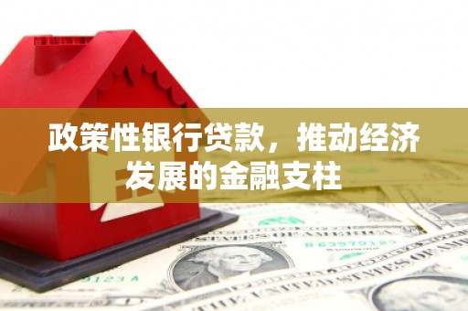 晋州政策性银行贷款，推动经济发展的金融支柱