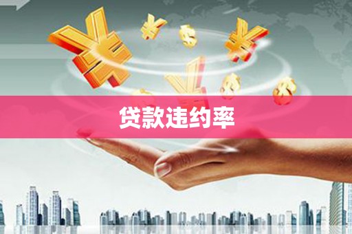 晋州贷款违约率