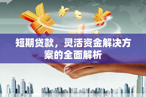 晋州短期贷款，灵活资金解决方案的全面解析