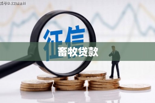 晋州畜牧贷款