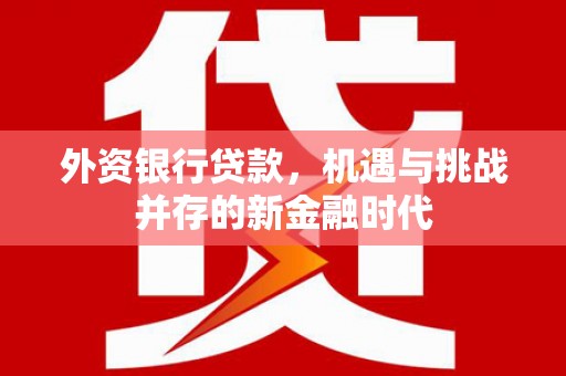 晋州外资银行贷款，机遇与挑战并存的新金融时代