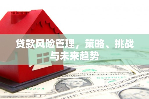 晋州贷款风险管理，策略、挑战与未来趋势