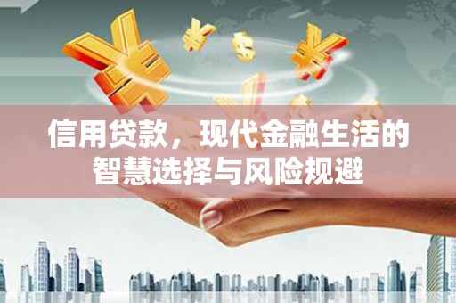 晋州信用贷款，现代金融生活的智慧选择与风险规避