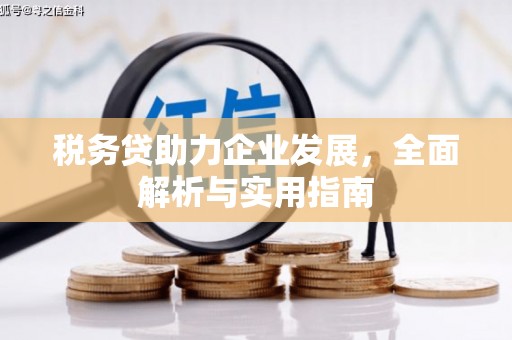 晋州税务贷助力企业发展，全面解析与实用指南