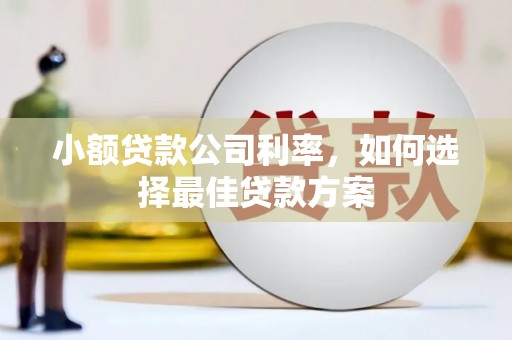 晋州小额贷款公司利率，如何选择最佳贷款方案