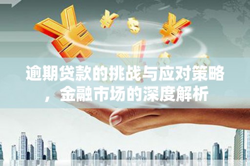 晋州逾期贷款的挑战与应对策略，金融市场的深度解析