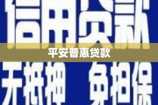 晋州平安普惠贷款