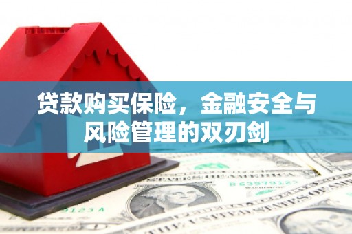 晋州贷款购买保险，金融安全与风险管理的双刃剑