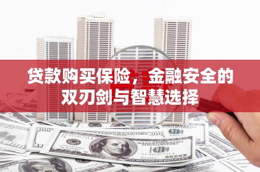晋州贷款购买保险，金融安全的双刃剑与智慧选择
