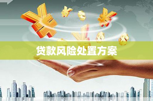 晋州贷款风险处置方案