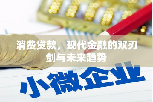 晋州消费贷款，现代金融的双刃剑与未来趋势