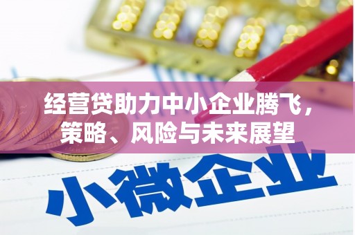 晋州经营贷助力中小企业腾飞，策略、风险与未来展望
