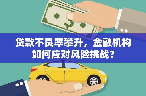 晋州贷款不良率攀升，金融机构如何应对风险挑战？