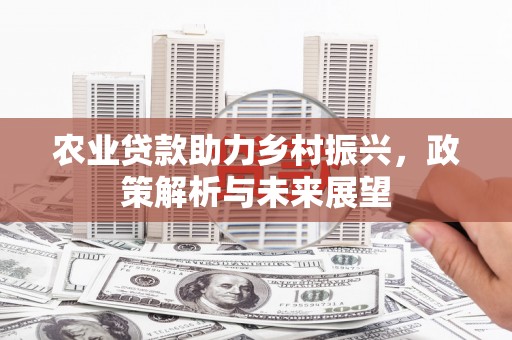 晋州农业贷款助力乡村振兴，政策解析与未来展望