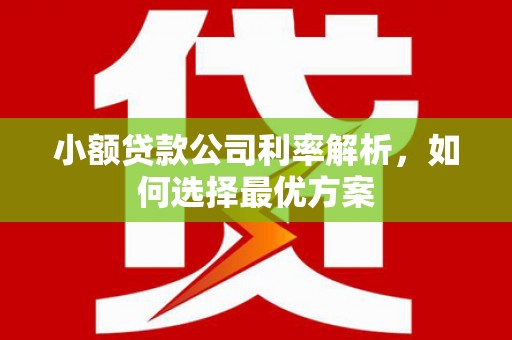 晋州小额贷款公司利率解析，如何选择最优方案