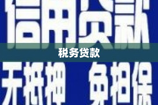 晋州税务贷款