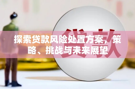 晋州探索贷款风险处置方案，策略、挑战与未来展望