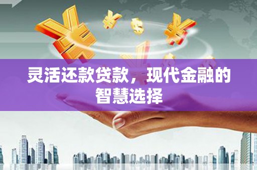 晋州灵活还款贷款，现代金融的智慧选择