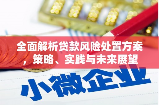 晋州全面解析贷款风险处置方案，策略、实践与未来展望