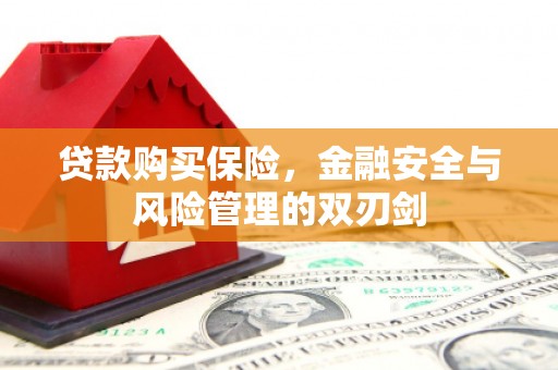 晋州贷款购买保险，金融安全与风险管理的双刃剑