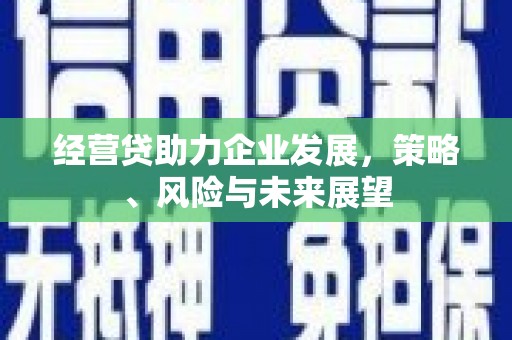 晋州经营贷助力企业发展，策略、风险与未来展望