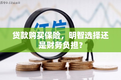 晋州贷款购买保险，明智选择还是财务负担？