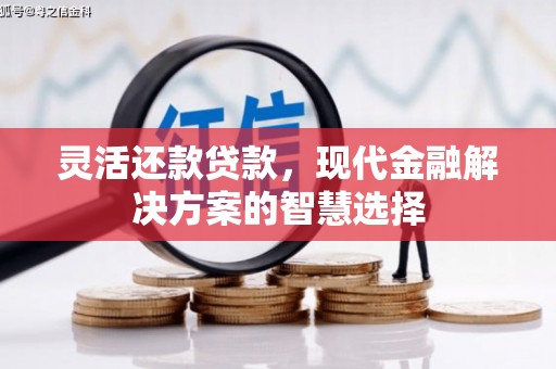 晋州灵活还款贷款，现代金融解决方案的智慧选择