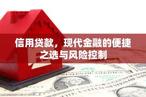 晋州信用贷款，现代金融的便捷之选与风险控制