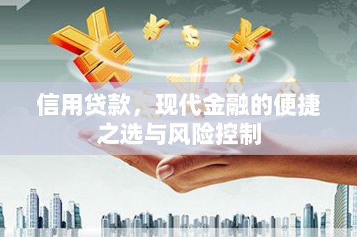 晋州信用贷款，现代金融的便捷之选与风险控制