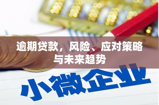 晋州逾期贷款，风险、应对策略与未来趋势