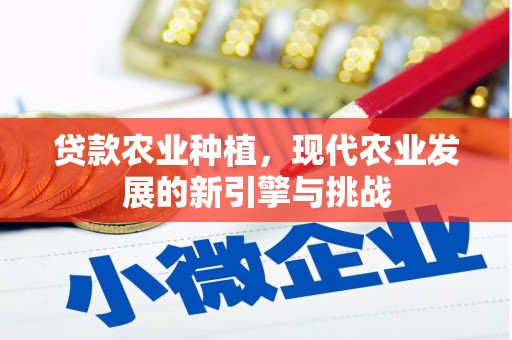 晋州贷款农业种植，现代农业发展的新引擎与挑战