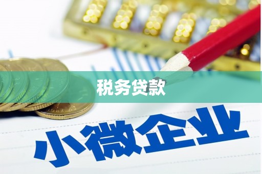 晋州税务贷款