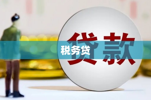 晋州税务贷