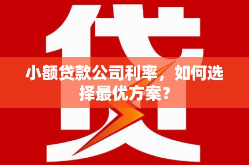 晋州小额贷款公司利率，如何选择最优方案？