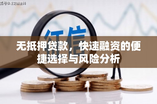 晋州无抵押贷款，快速融资的便捷选择与风险分析