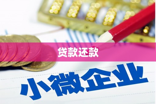 晋州贷款还款