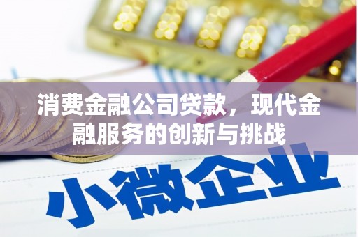 晋州消费金融公司贷款，现代金融服务的创新与挑战