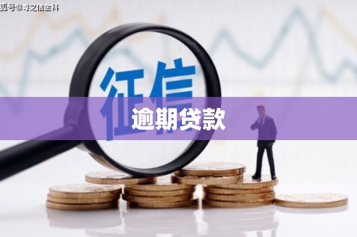 晋州逾期贷款