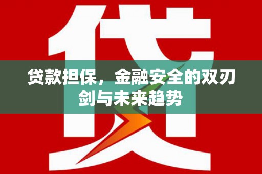 晋州贷款担保，金融安全的双刃剑与未来趋势