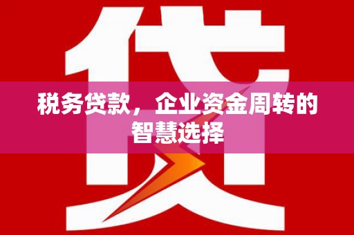 晋州税务贷款，企业资金周转的智慧选择