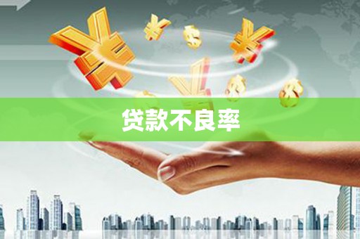 晋州贷款不良率