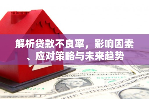 晋州解析贷款不良率，影响因素、应对策略与未来趋势