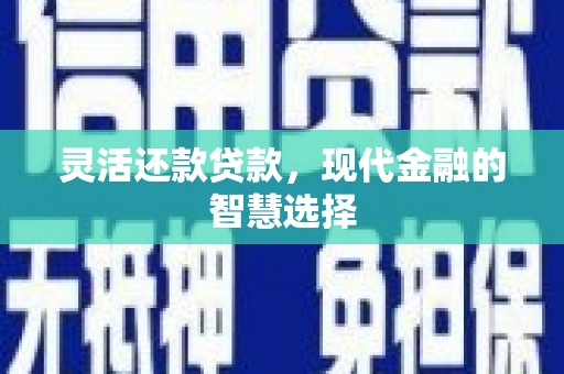 晋州灵活还款贷款，现代金融的智慧选择