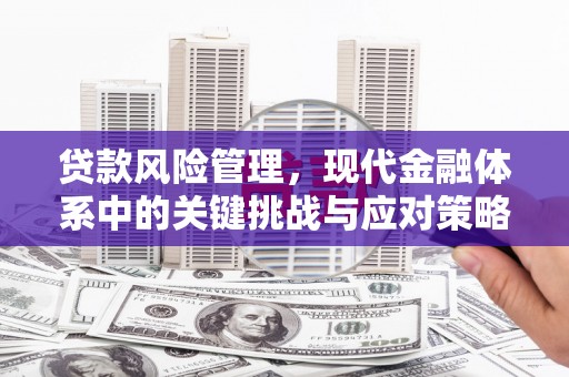 晋州贷款风险管理，现代金融体系中的关键挑战与应对策略